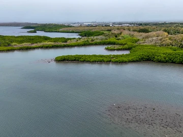 Residential Land